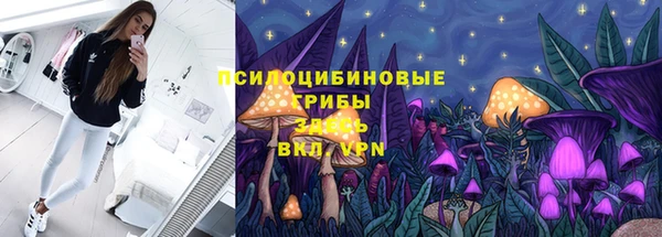 таблы Карпинск